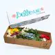 Mix Box