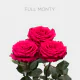 Hot Pink Full Monty 40 cm (25 St bunch)