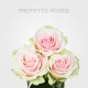 Box Light Pink Frutteto 60 cm (100 St)