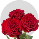 Garden Hearts Roses 50-60 cm