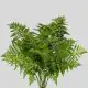 Flowers Leather Leaf (10 St bunch)