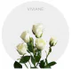 Box Spray White Viviane 40-60 cm (160 St)