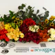 Large Autumn Bloom Box 