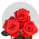 Box Orange Nina Roses 50 cm (100 St)