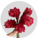 Tropical Flowers Ginger Red Medium