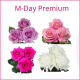 M-DAY PREMIUM BOX 50 cm (100 St)