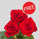 Red Freedom Roses 40 cm (25 st bunch)
