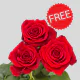 Freeedom Bunch 60 cm 