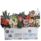 Event Bloom Box