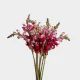 Pink Snapdragon (10 St bunch)