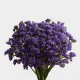 Flowers Statice Blue (10 St bunch)