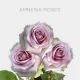 Lavender Amnesia 60 cm (25 St bunch)