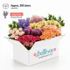 Large Box by Bellevue