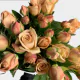 Box Peach Spray Chocolate 40-60 cm (100 St)