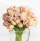 Spray Peach Chocolate 40-60 cm (10 St bunch)