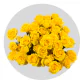 Box Spray Yellow Baby 40-60 cm (100 St)