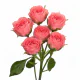 Box Spray Pink Majolika 40-60 cm (160 St)