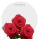 Red Fortune Roses 40-60 cm