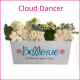 Cloud Dancer Box