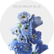 Flowers Delphinium Elatum Blue 50 cm