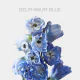 Flowers Delphinium Skyblue  (10 St bunch)