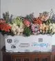 Event Bloom Collection Box 2025