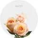 Box Peach Felicity 40 cm (125 St)