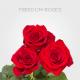 Red Freedom Roses 60 cm (25 st bunch)