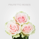 Light Pink Frutetto Roses 50 cm (25 st Bunch)