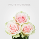 Light Pink Frutteto Roses (25 st Bunch)
