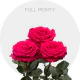 Box Hot Pink Full Monty 50 cm (100 St)