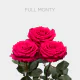 Hot Pink Full Monty 60 cm (25 St bunch)