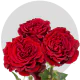 Garden Hearts Roses 50-60 cm