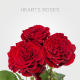 Garden Red Hearts Roses 60 cm (25 St bunch)