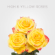 Box Bicolor High & Yellow Flame Roses 50 cm (100 St)