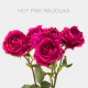 Spray Hot Majolika 40-60 cm (10 St bunch)