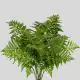 Flowers Leather Leaf (10 St bunch)
