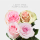 Light Pink Farm Choice 50 cm (25 St bunch)