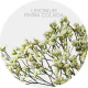 Box Flowers Limonium White/Yellow (130 St)