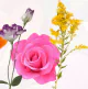 Flower Bar Large Box