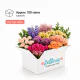 Medium Box