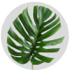 Tropical Flowers Monstera XL