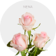 Light Pink Nena Roses 40-60 cm