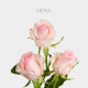 Light Pink Nena 60 cm (25 St bunch)