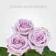 Ocean Song 60 cm (25 St bunch)