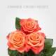 Orange Crush 60 cm (25 St bunch)