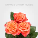 Orange Crush 40 cm (25 St bunch)