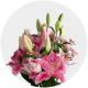 Flowers Oriental Lily Light Pink 