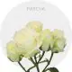 White Spray Pascua 40-60 cm