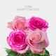 Pink Farm Choice 50 cm (25 St bunch)